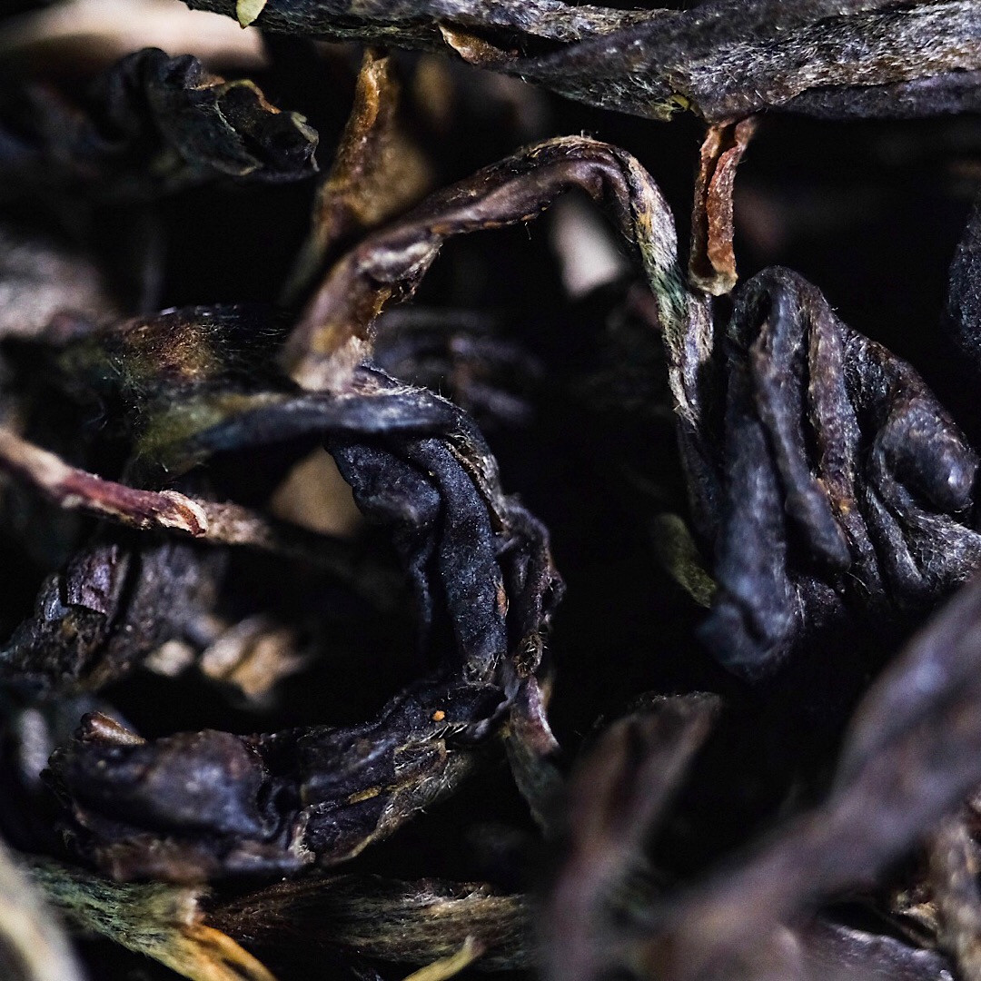 100g Gu Shu Single Tree 單株茶 - West China Tea