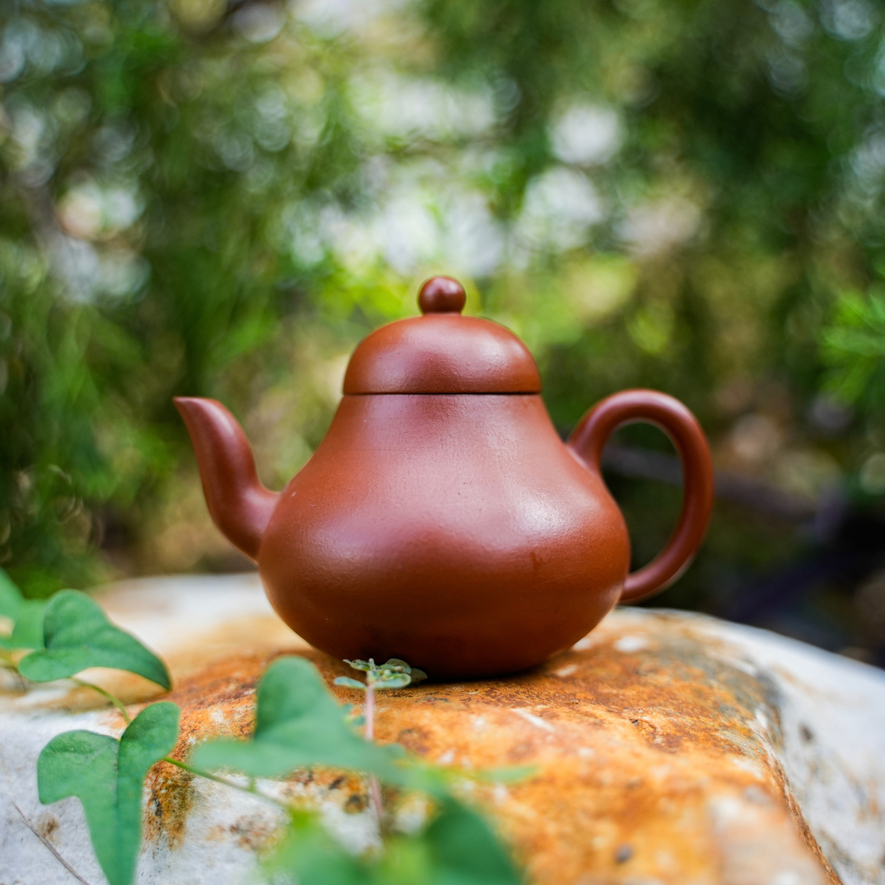 壺屋焼 Medium Siting Yixing Teapot | West China Tea