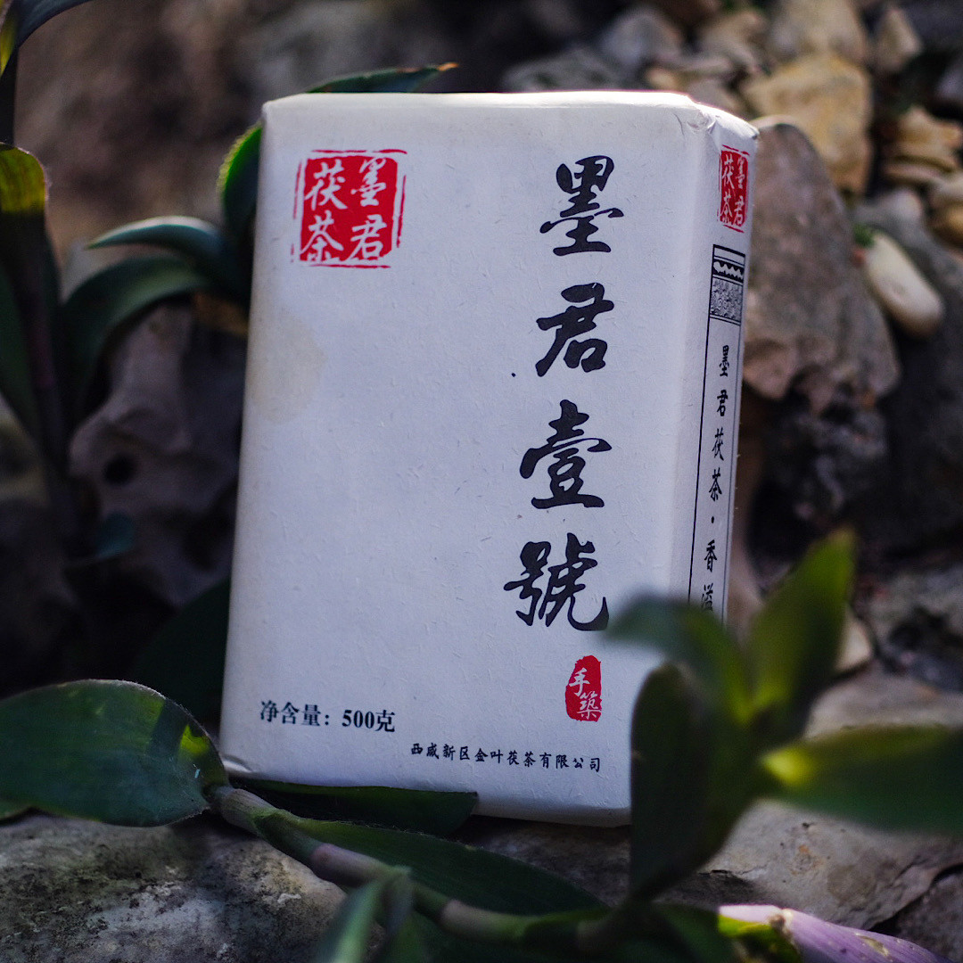 2018 Mojun Yihao Fu Zhuan Brick | West China Tea