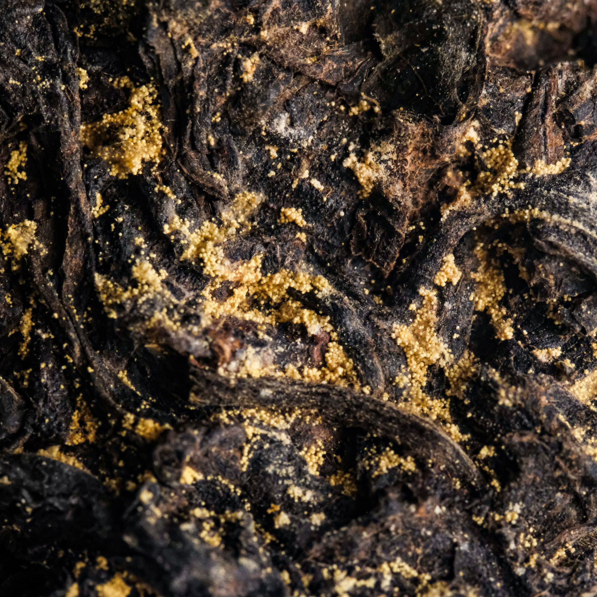 West China Tea | Artisan and Farm Direct Chinese Tea & Teaware