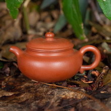 Xishi Crimson Clay Teapot 西施宜興朱泥茶壺- West China Tea