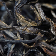 100g Gu Shu Single Tree 單株茶 - West China Tea