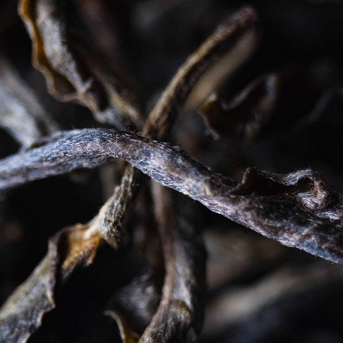 1g Man Le Sheng Pu'er 曼勒生普洱