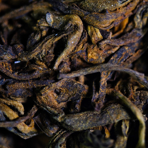 500g Ancient Tree Black Rain 黑雨古樹熟茶 BACKORDER