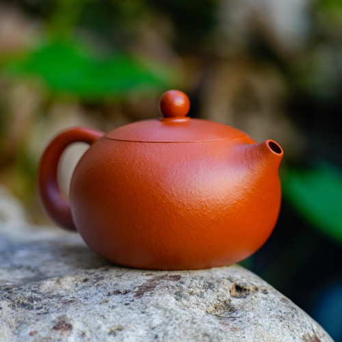Xishi Crimson Clay Teapot 西施宜興朱泥茶壺