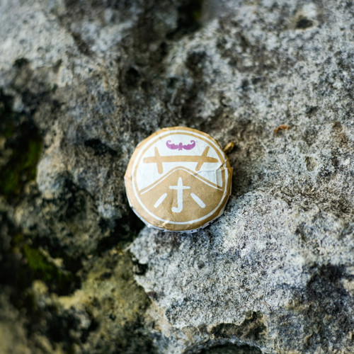 Tea - White Tea 白茶 - West China Tea