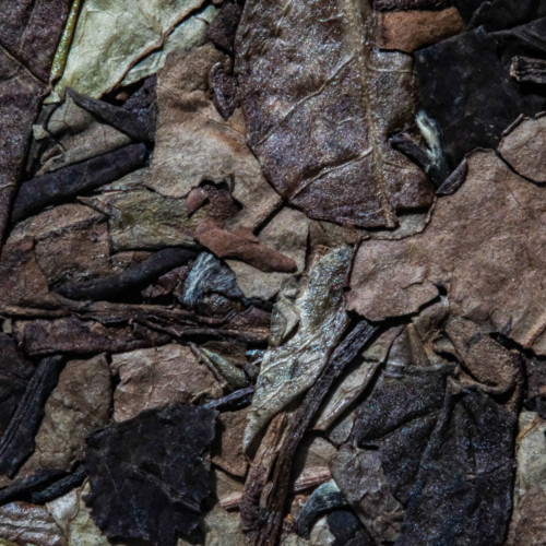 Tea - White Tea 白茶 - West China Tea