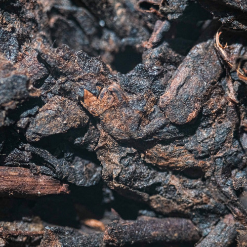 50g Man Le Shu Pu'er Pressed 曼勒熟壓茶