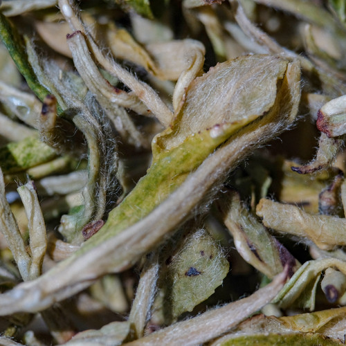 50g Ji Bai “Lucky White” Green Tea 吉白绿茶