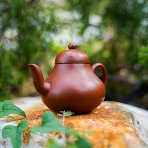 Medium Siting Yixing Teapot 思亭宜興壺