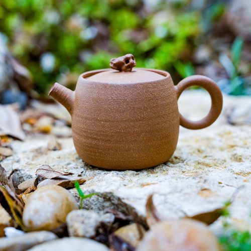Teaware - Teapots & Gaiwans - Teapot - West China Tea