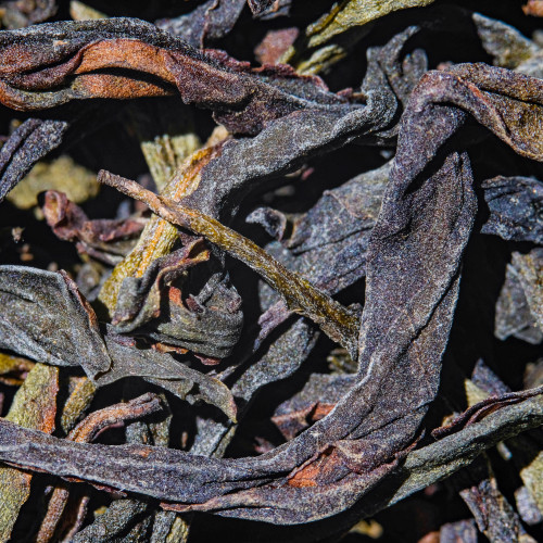 ミュージカン　ウーロンティ Tea - Oolong Tea 烏龍茶 - Misc Oolong Tea - West China Tea