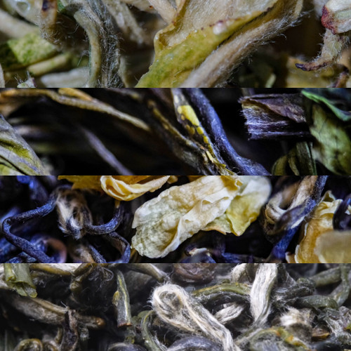 2026 Green Tea Flight