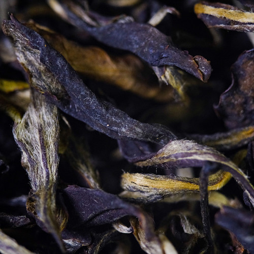 Tea - White Tea 白茶 - West China Tea