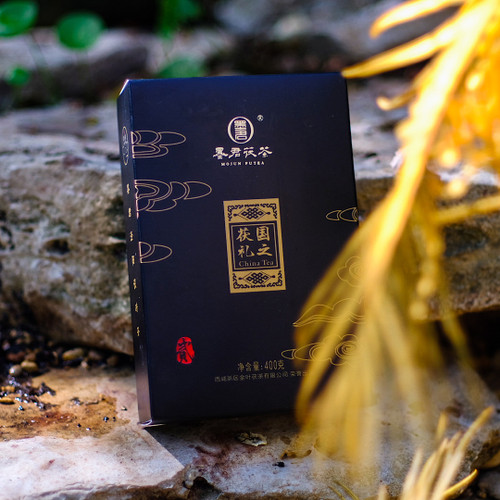 30g 2018 Guo Zhi Fu Li Fu Zhuan Brick 國之茯禮茯磚