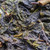 50g Collected Emptiness 集虚野生青磚