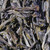 50g Lychee Gummy Yellow Tea 都勻黃茶