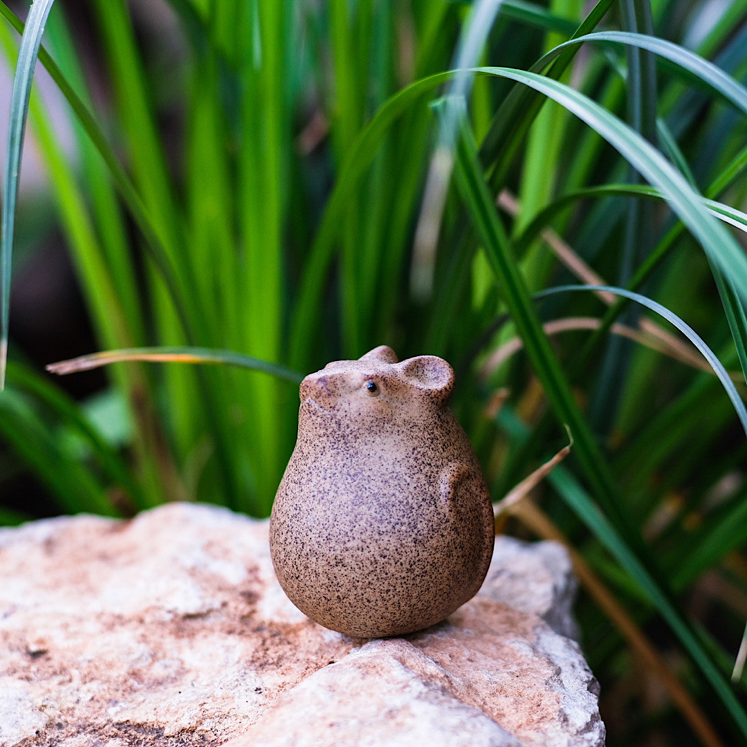 Image of Chubby Mouse Tea Pet