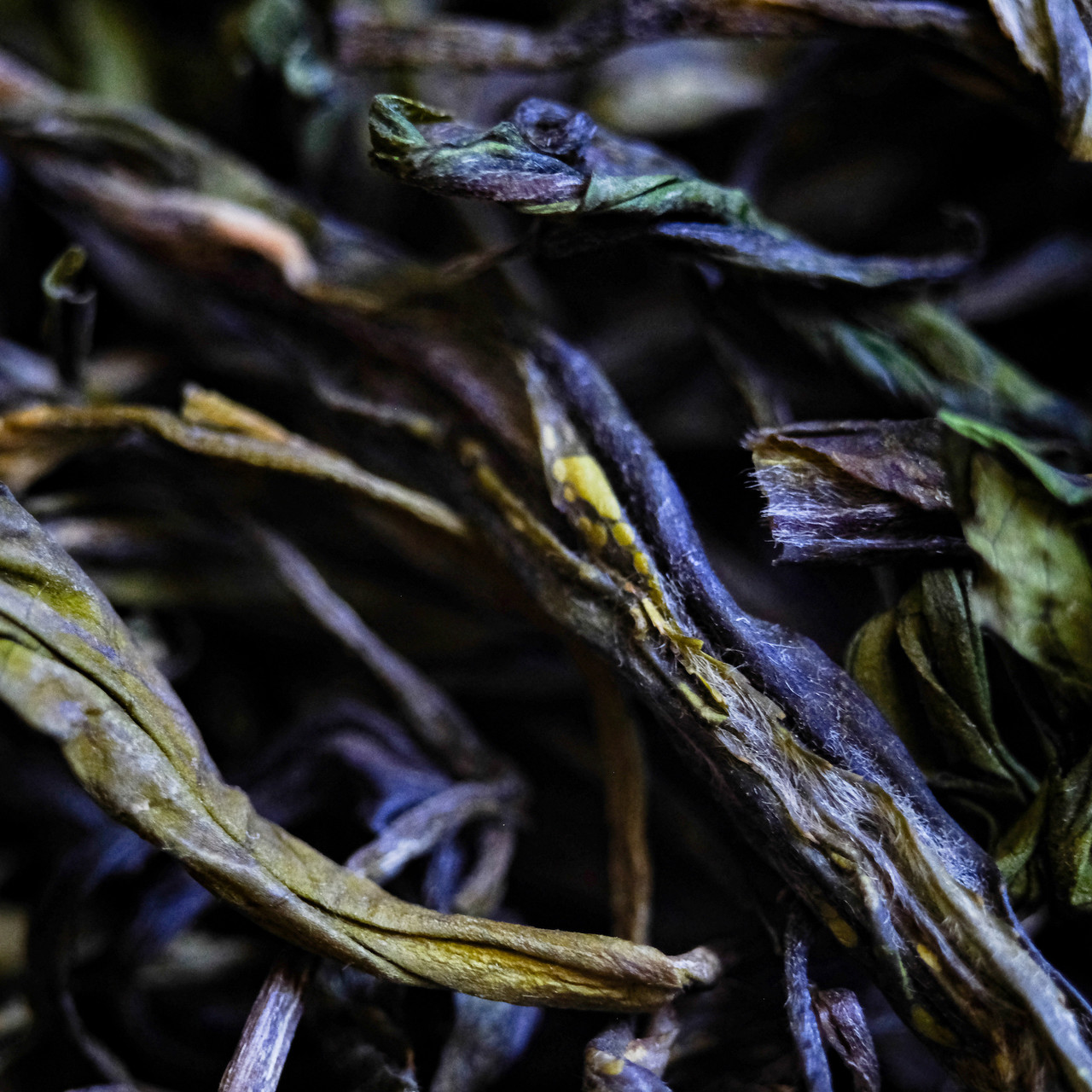 Image of Underworld Orchid Green Tea 幽蘭