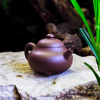 Xi Piao Yixing Purple Sand Teapot