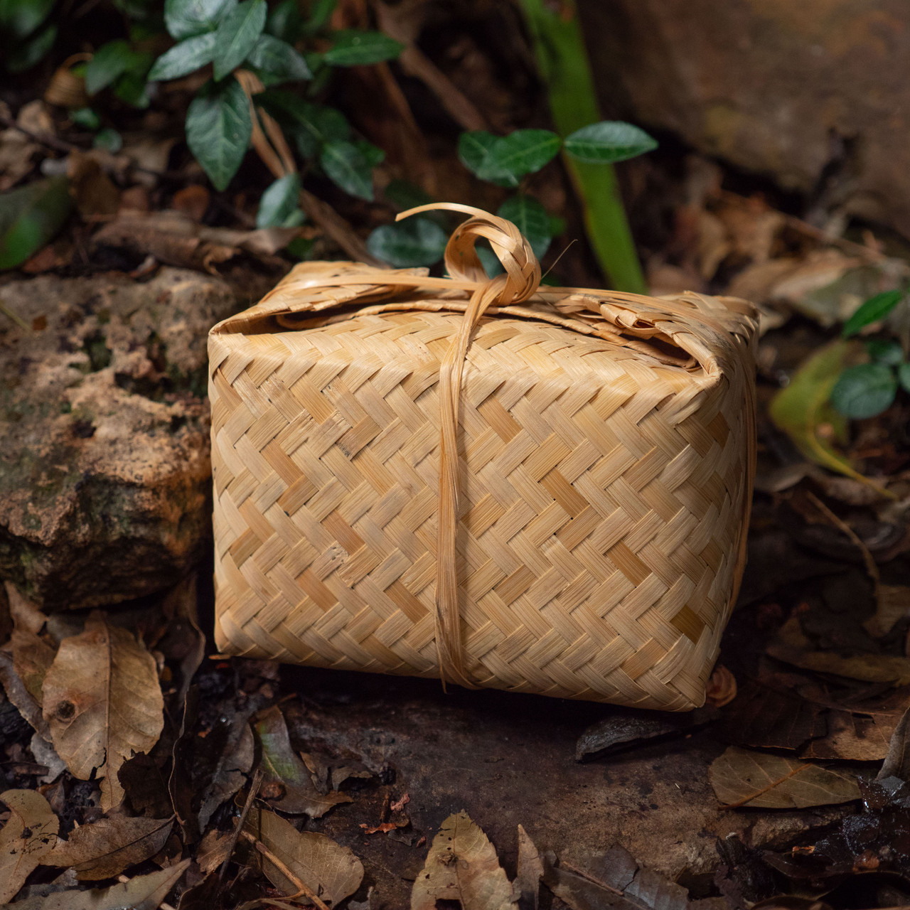 Image of 465g 2019 Wild Fields Wild Tian Jian Basket 野田野生天尖黑茶