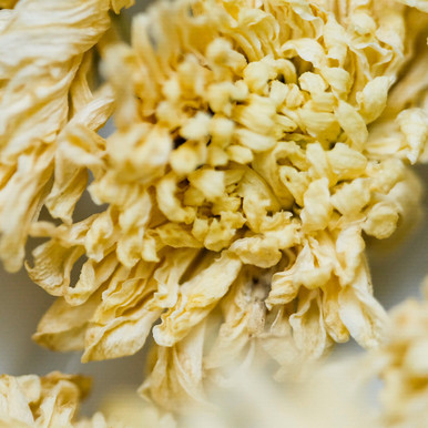 100g White Chrysanthemum 白菊花 - West China Tea