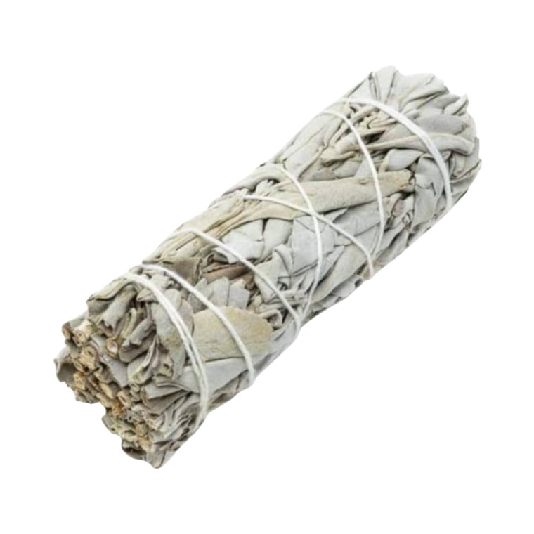 California White Sage 4" California White Sage 4"