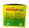 Antangin Mint - Herbal Syrup 12-ct, 180 Ml/ 6 fl oz