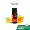 Bali Dancer Essential Oil - Champaca (Bunga Cempaka),  10 ml
