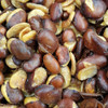 Skin Koro Beans - Kacang Koro Kulit, 150 gr