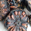Nusantara Delicate Mengkudu Fruit - Morinda citrifolia Dried,  80  gram