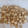 Nusantara Delicate Temu kencur  - Kaempferia galanga Dried,  80  gram