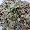 Nusantara Delicate Kemuning Leaves -  Murraya paniculata Dried ,  80  gram