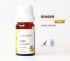 Bliss Scents Essential Oil Ginger, 10 ml