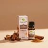Bali Ratih Aromatherapy Oil Cinnamon, 10ml