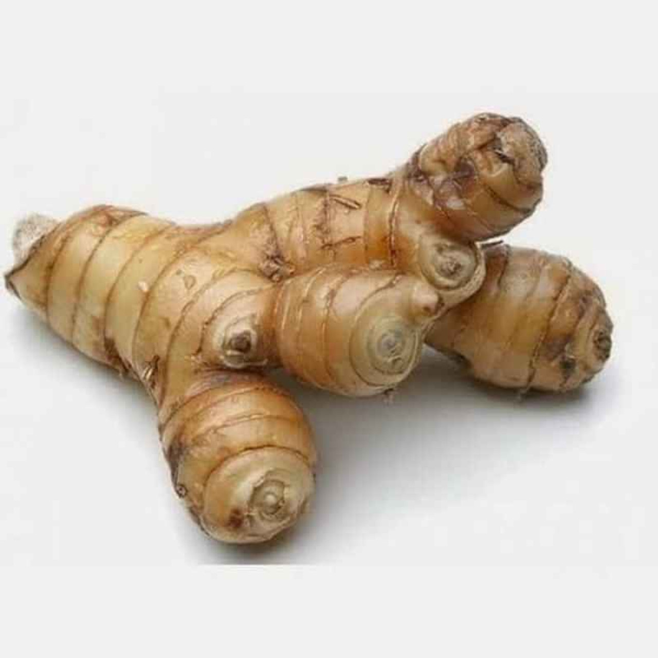 Lengkuas ( Galangal Indonesian Spices ), 500 gr