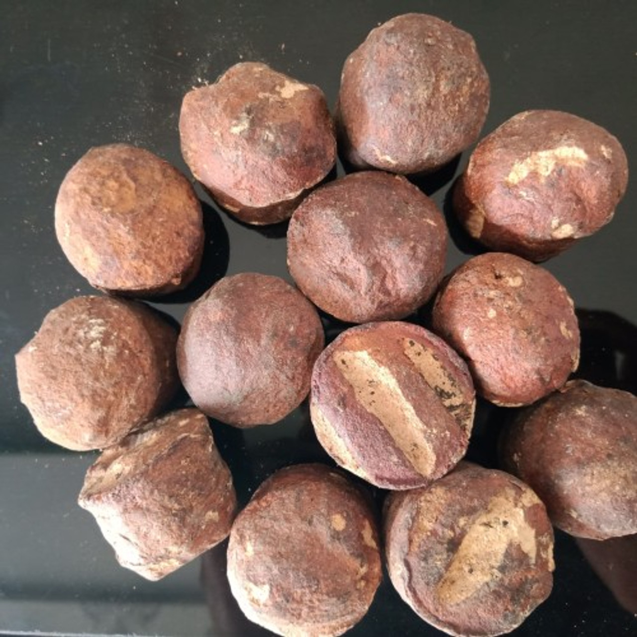Nusantara Delicate Dried Gambir - Uncaria 80 gram