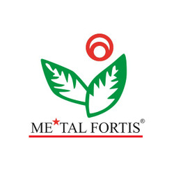 Metal Fortis