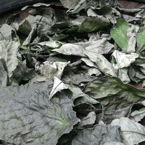 Nusantara Delicate Keji Beling Leaves -  Strobilanthes crispa Dried ,  80  gram