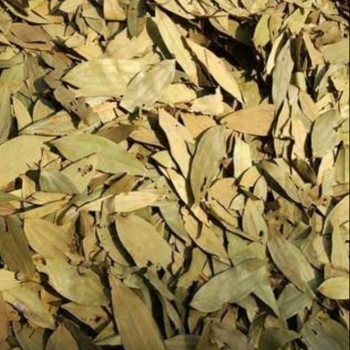 Nusantara Delicate Dried Cinnamon Leaves - Cinnamomum verum 80 gram