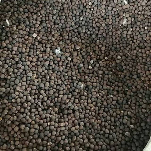 Nusantara Delicate Dried Randu Seeds - Ceiba pentandra, 80 gram