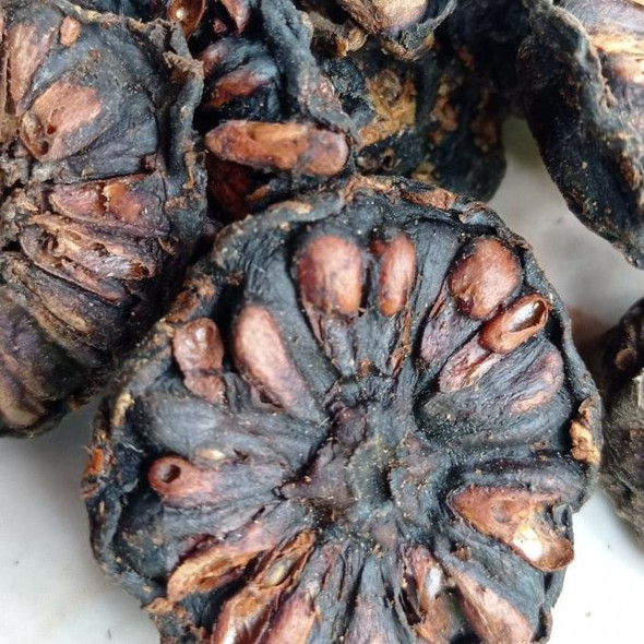 Nusantara Delicate Mengkudu Fruit - Morinda citrifolia Dried,  80  gram