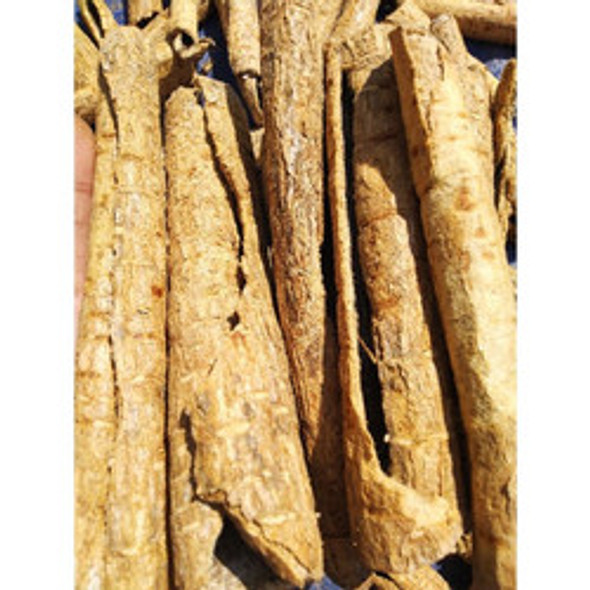 Nusantara Delicate Pule Bark  - Alstonia scholaris Dried,   80  gram