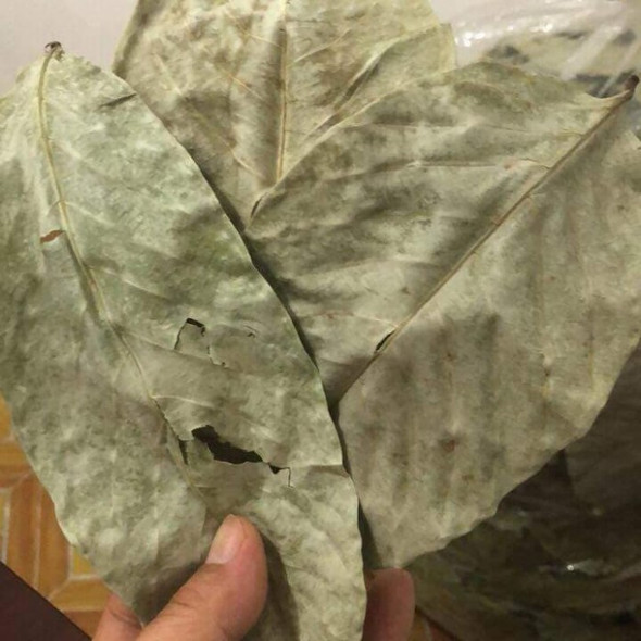 Nusantara Delicate Bungur Leaves - lagerstroemis speciosa Dried,  80  gram