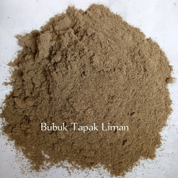 Nusantara Delicate Tapak Liman  Leaves -  Elephantopus scaber Powder ,  80  gram