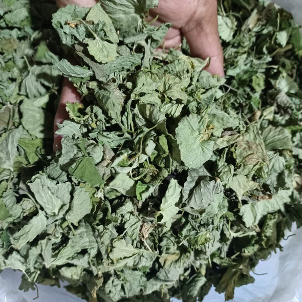Nusantara Delicate Pegagan Leaves -  Centella asiatica Dried,  80  gram