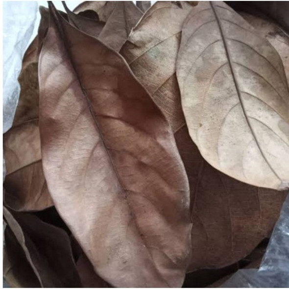 Nusantara Delicate Jackfruit Leaves- Artocarpus heterophyllus Dried ,  80  gram