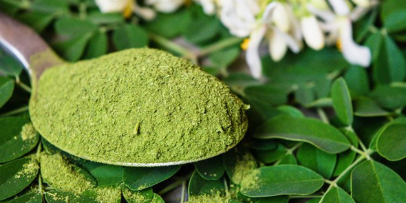 Nusantara Delicate Kelor Leaves- Moringa oleifera Powder ,  80  gram