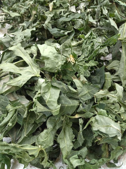 Nusantara Delicate Gedi Pepaya Jepang  Leaves - Abelmoschus manihot Dried, 80  gram