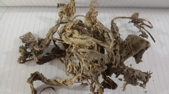 Nusantara Delicate Komfrey  Leaves -  Symphytum officinale Dried ,  80  gram